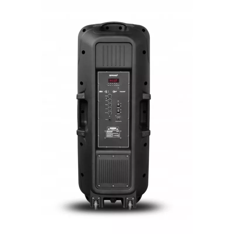 Altoparlante portatile APA24 Bluetooth karaoke, nero