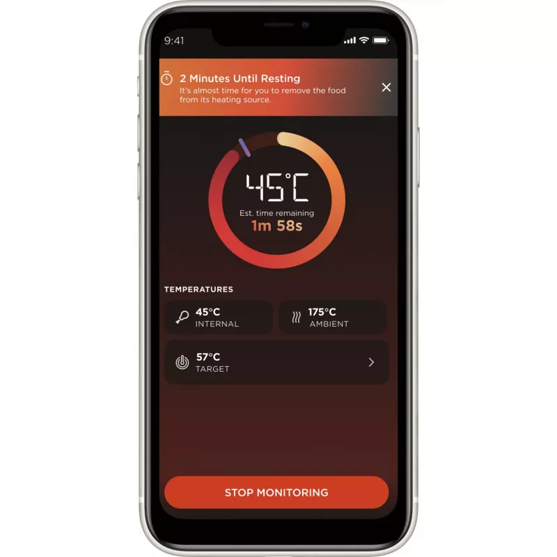 Termometro per alimenti Ninja WP100EU