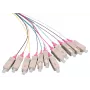 Cavo InfiniBand/fibra ottica LOGON LFP035 2 m 12x SC multicolore (LFP035)
