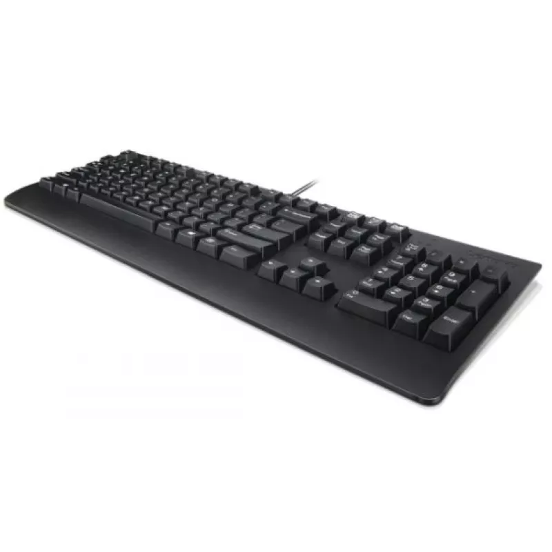 Tastiera USB QWERTY Lenovo Preferred Pro II, rumena, nera