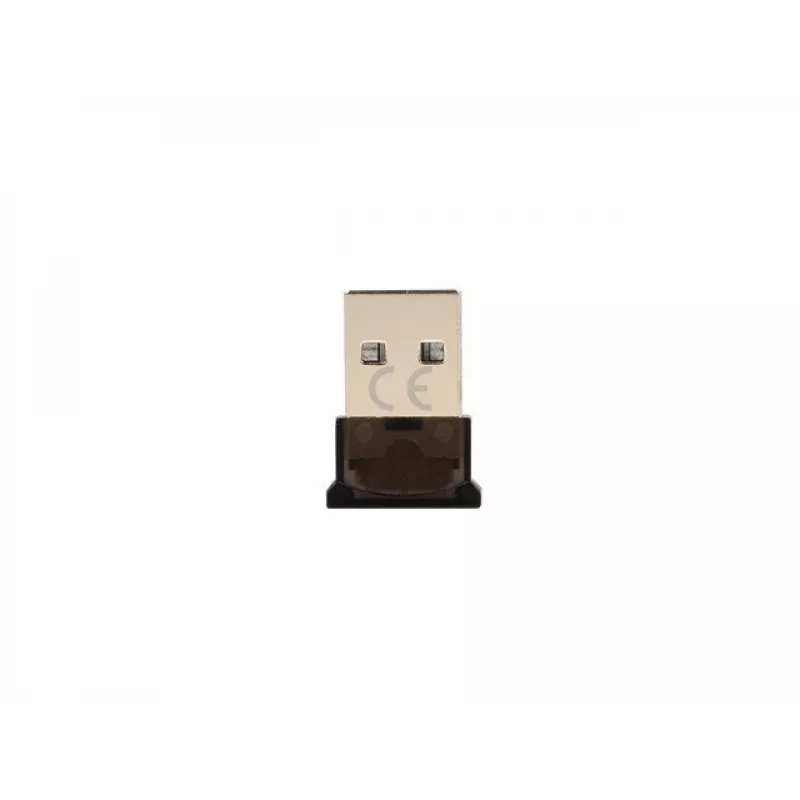 Natec Fly NBD-2003 adattatore USB Bluetooth 5.0 nano, classe II
