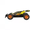 Auto RC High Speed con rampa