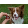 GELOREN Large dog Joints - integratori per cani - 420g
