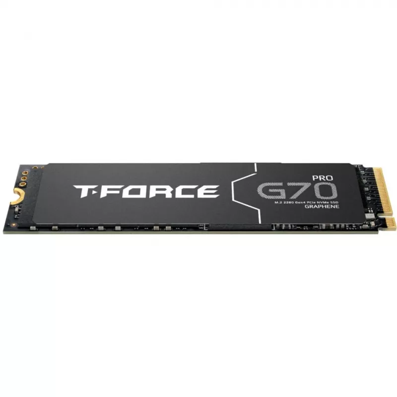 Team Group T-FORCE G70 Pro 2 TB PCIe 4.0 x4 | M.2 2280 | dissipatore in grafene