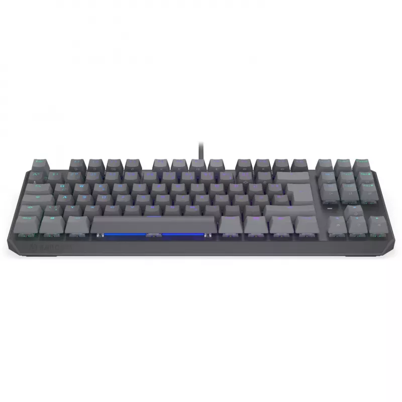 Tastiera meccanica ENDORFY Thock V2 TKL con switch rossi, Tenkeyless, Layout DE
