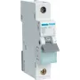 Hager MBN150. Numero di poli: 1P. Frequenza di ingresso AC: 50/60 Hz, Corrente di uscita nominale: 50 A (MBN150)