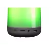 Altoparlante mono portatile Denver BTL-311 multicolore