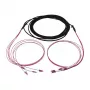 Synergy 21 Cavo in fibra ottica trunk U-DQ ZN BH 4G 50/125 LC/LC OM4 40m anello - cavo - fibra multimodale