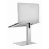 Supporto per laptop Gembird NBS-D1-02 argento 39,6 cm (15,6 inch)