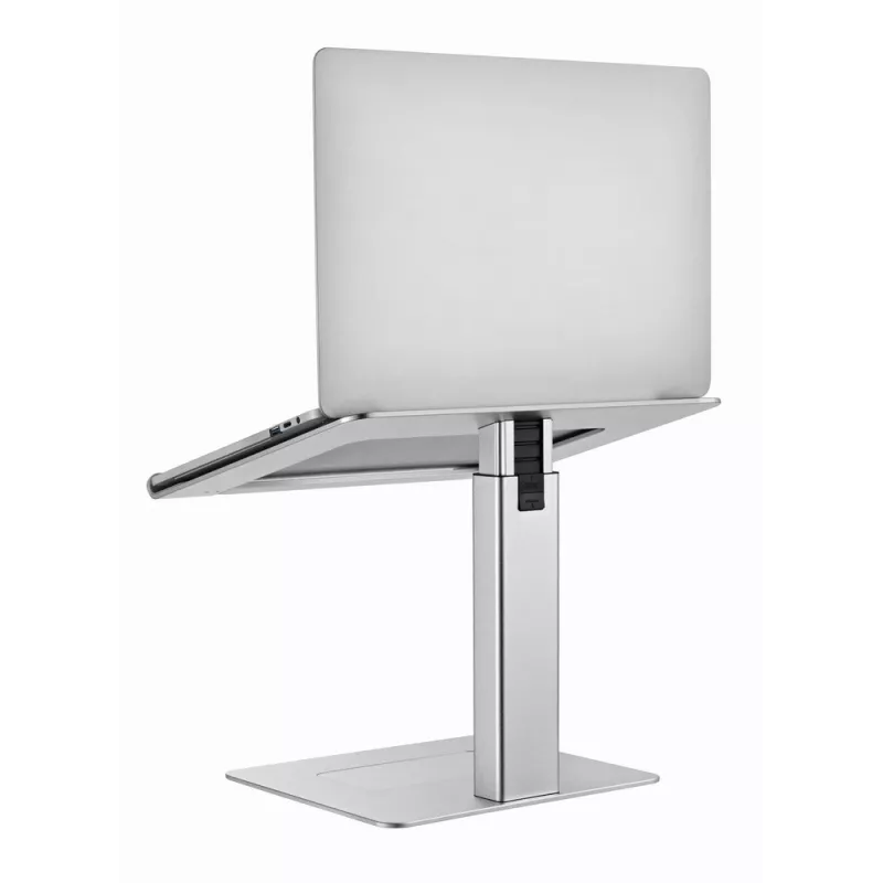 Supporto per laptop Gembird NBS-D1-02 argento 39,6 cm (15,6 inch)