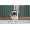 Zaino da viaggio per animali PetKit Breezy 2 (Verde)