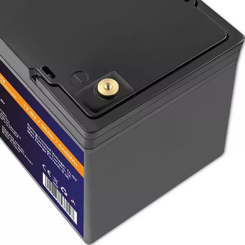 Batteria LiFePO4 QOLTEC 12,8 V 50 Ah (modello 53704) per backup e accumulo di energia