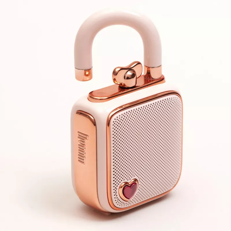 Altoparlante mono portatile Divoom LoveLock rosa