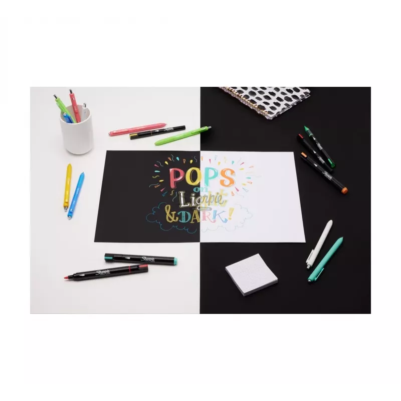 Pennarelli acrilici Sharpie Creative Marker 12 pezzi punta bullet nero