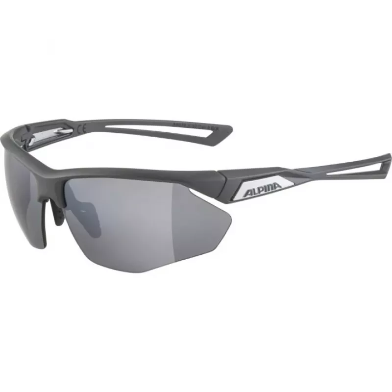 Alpina Nylos HR occhiali da sole Cat. 3 grigio