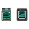 Prolunga USB alimentata DeLOCK 85980 12 V 1 m
