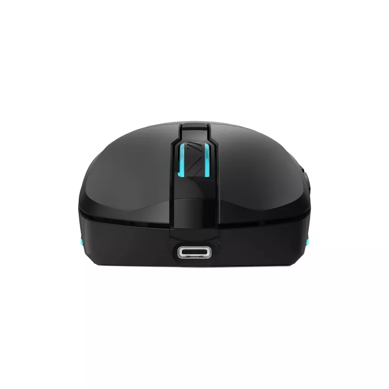 Mouse Baracuda BGM-121 Turtle nero USB