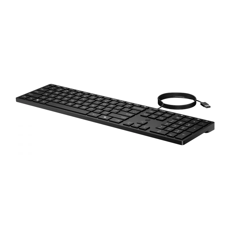 HP 320K Tastiera USB con filo - nero - US/RUS
