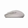 Canyon mouse MW-12 dualband wireless beige - mouse - 2.400 dpi (CNS-CMSW12BG)