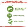 Royal Canin Outdoor cibo secco per gatti 2 kg