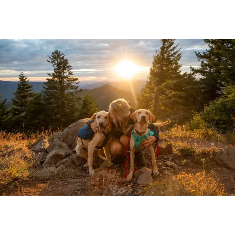 Ruffwear Front Range XS blu poliestere