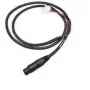 Intermec - Cavo di alimentazione - per Honeywell CN80, Dolphin CT50, Intermec 751, CK61, CN2A, CN2B, CN2G, CN3, CN3A, CN3e, CN3F (226-109-003)