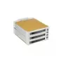Fantec SNT-BA2131-2 - S-ATA 2x 13,30cm (5,25) per 3x1 HDD beige (2007)