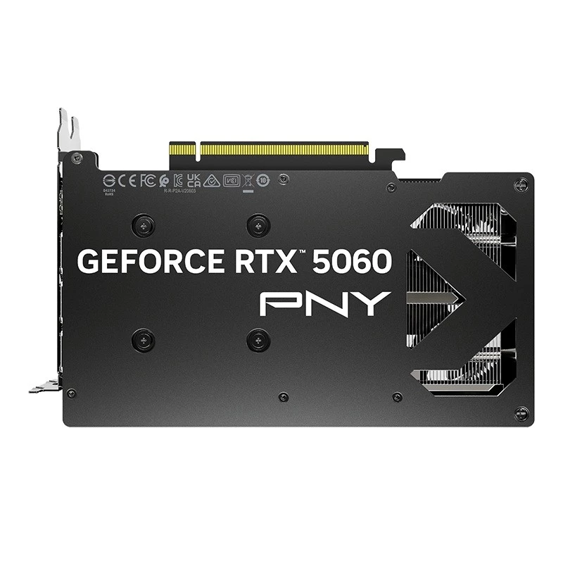 PNY GeForce RTX 5060 8GB scheda grafica