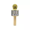 Microfono MANTA MIC10-G oro cardioide portatile — condensatore cardioide, design a mano