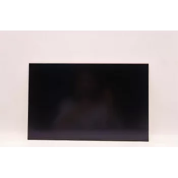 Pannello display LCD per laptop Lenovo 16,0 pollici WUXGA IPS AG di AUO, schermo di ricambio per modelli Lenovo compatibili