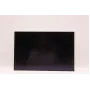 Pannello display LCD per laptop Lenovo 16,0 pollici WUXGA IPS AG di AUO, schermo di ricambio per modelli Lenovo compatibili