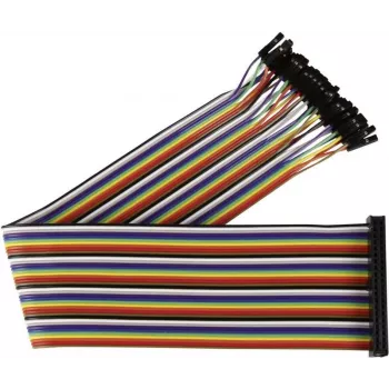 Cavo di collegamento Joy-it Raspberry Pi® multicolore RB-CB2-30 Raspberry Pi® (RB-CB2-30)