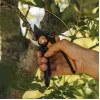 Fiskars Plus SmartFit P541 cesoie da giardino bypass nero, arancione