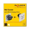 Presa 2 x USB + CEE 7/3 DeLOCK 11473
