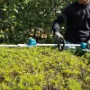 Makita DUN600L Doppia lama 3,4 kg