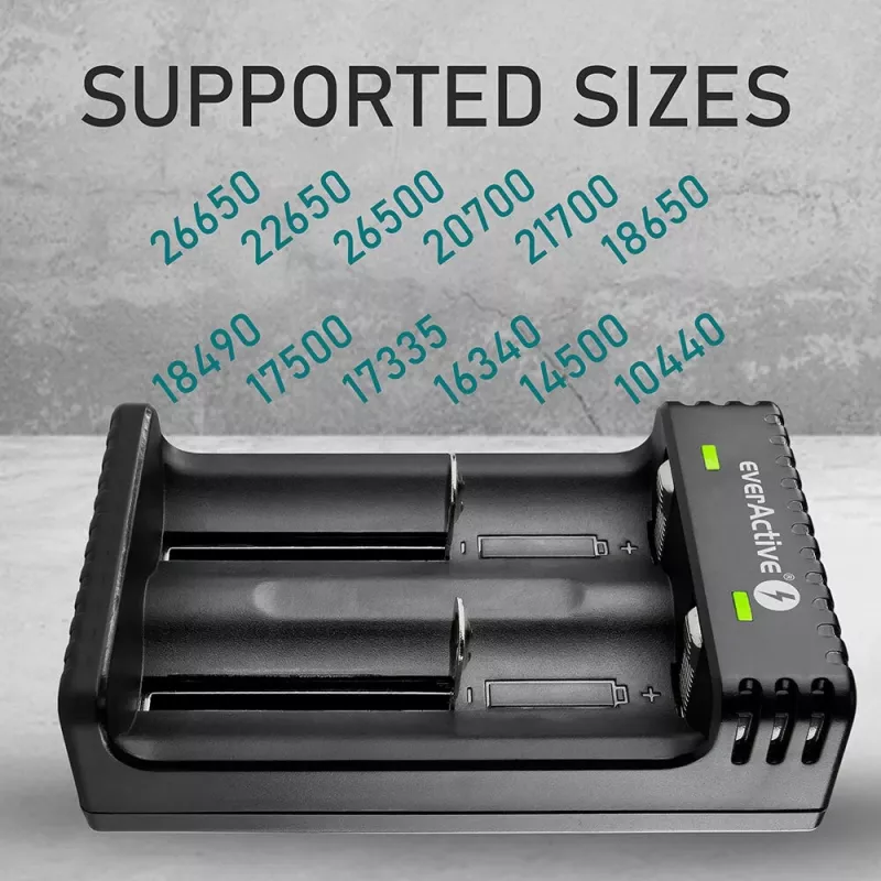 Caricabatterie everActive LC200 domestico USB, 2 vani, Li-Ion, supporta A/AA/AAA/AAAA/C/D, ingresso 5 V, uscita 4,2 V, nero