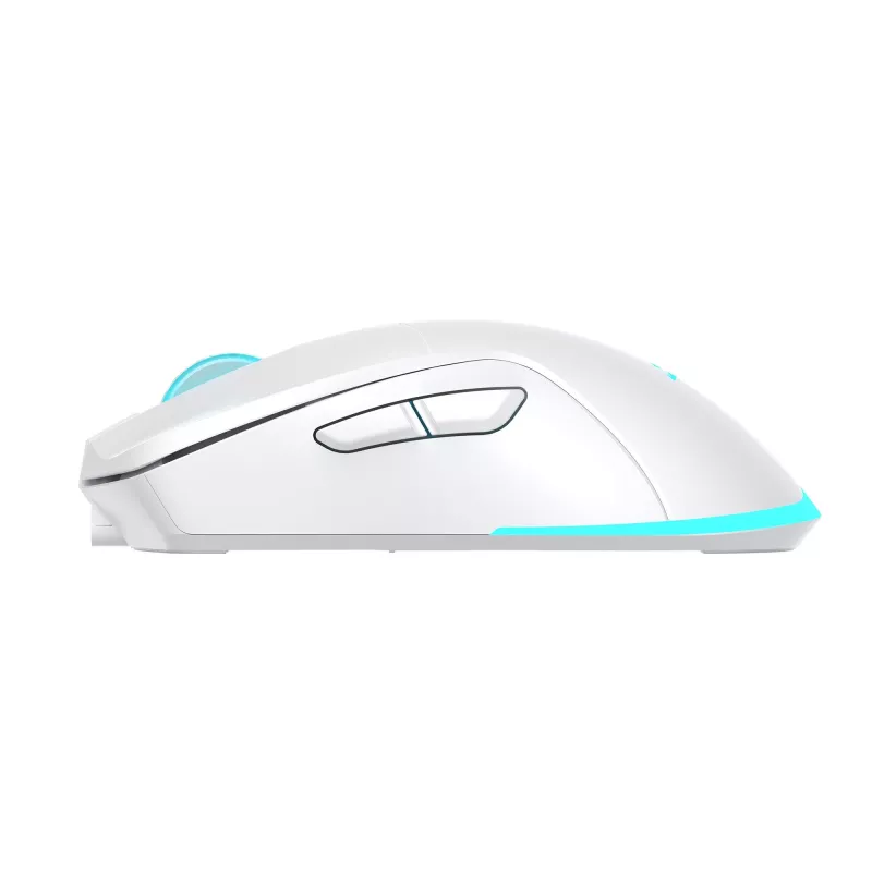 Mouse Baracuda BGM-122 Turtle bianco TURTLE-W