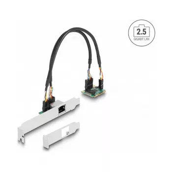 DeLOCK 95271 Scheda di rete interna 2500 Mbit/s Mini PCI Express