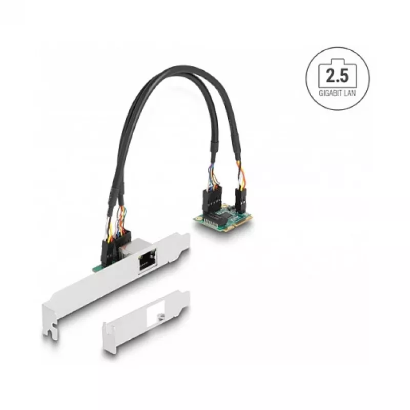 DeLOCK 95271 Scheda di rete interna 2500 Mbit/s Mini PCI Express