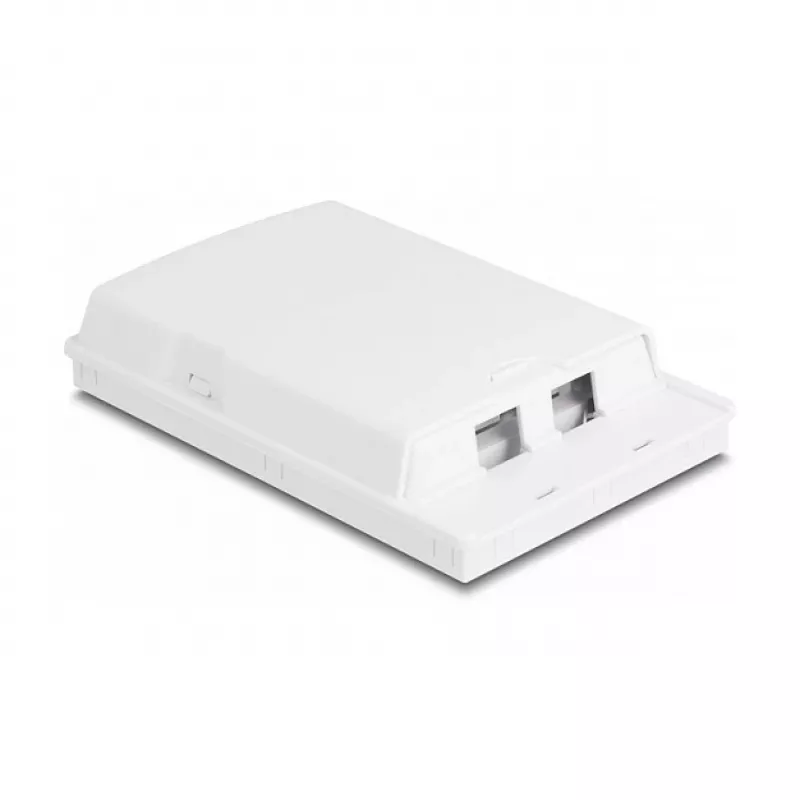 Presa in fibra ottica DeLOCK 2 x SC simplex LC duplex bianco