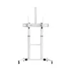 Sbox FS-3610 Supporto a pavimento per TV LED ultra-grandi 60-100 100kg bianco