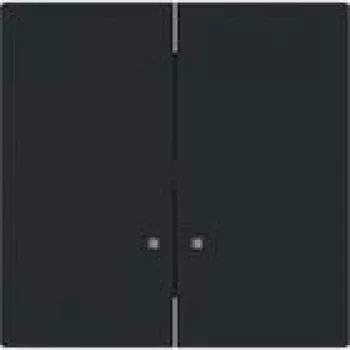 BUSCH JAEGER Placca 1785 K-45M con 2 semiblacche (2CKA001751A3308)