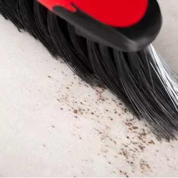Spazzola universale Vileda Classica 2w1
