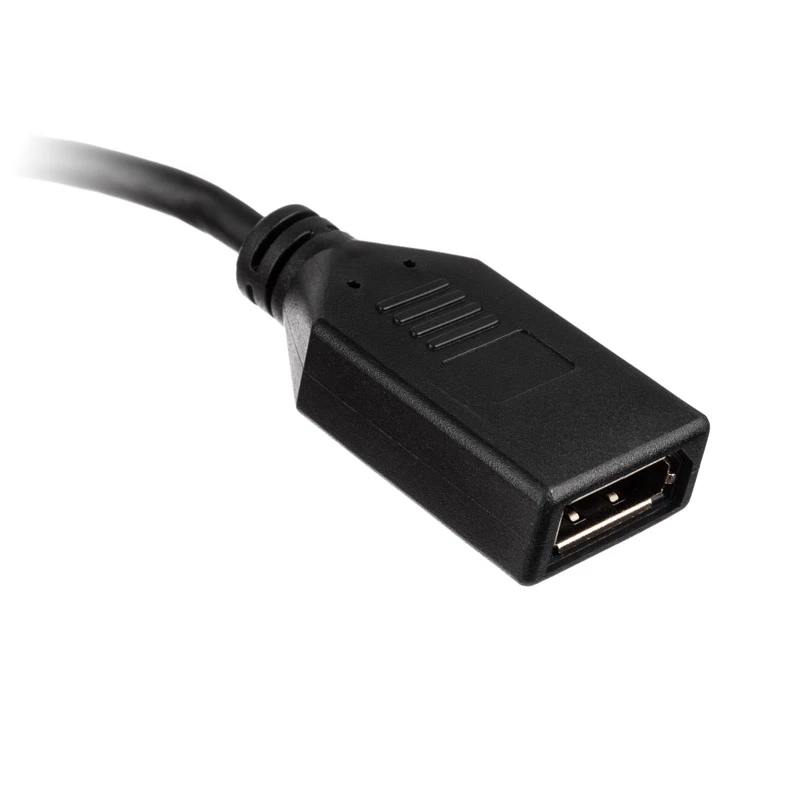 Cavo adattatore HDMI su DisplayPort Akasa AK-CBHD24-25BK