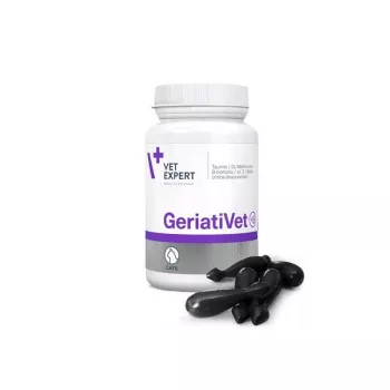 Integratore alimentare VETEXPERT GeriatiVet gatto capsule 60 pezzi — supporto per gatti anziani, sostegno della funzione cerebrale, senza glutine e soia