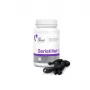 Integratore alimentare VETEXPERT GeriatiVet gatto capsule 60 pezzi — supporto per gatti anziani, sostegno della funzione cerebrale, senza glutine e soia