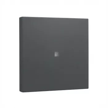 Placca a bilanciere Gira System 55 inserto di comando placca antracite (modello 329028)