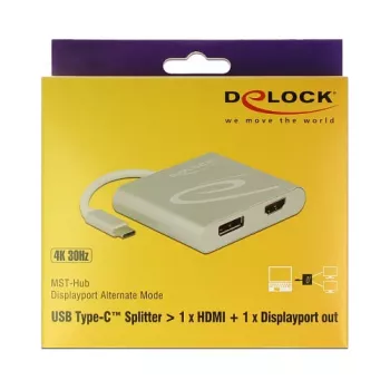 Adattatore grafico USB DeLOCK 87716 2560 x 1440 pixel argento