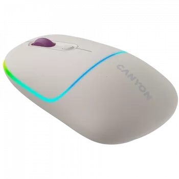 CANYON mouse MW-22 2-in-1 BT/wireless rice