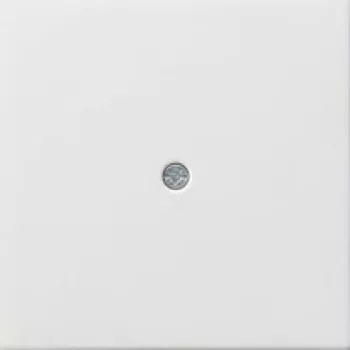 GIRA 0274112 Piastra a parete/copertura interruttore bianco (0274112)